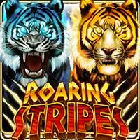 ROARING STRIPES