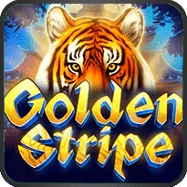 GOLDEN STRIPE