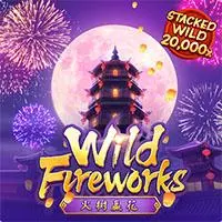 WILD FIREWORKS