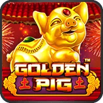 GOLDEN PIG